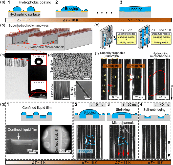 ディバインフロー Robust and durable liquid-repellent surfaces - Chemical Society