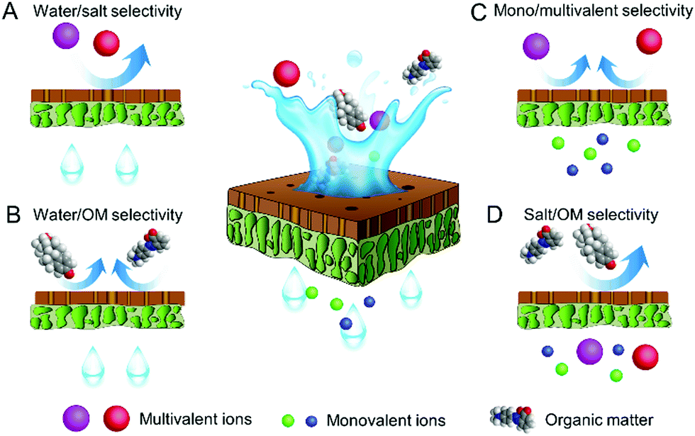 Tailored design of nanofiltration membranes for water