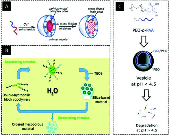 Double hydrophilic copolymers – synthetic approaches, architectural  variety, and current application fields - Chemical Society Reviews (RSC  Publishing) DOI:10.1039/D1CS00086A