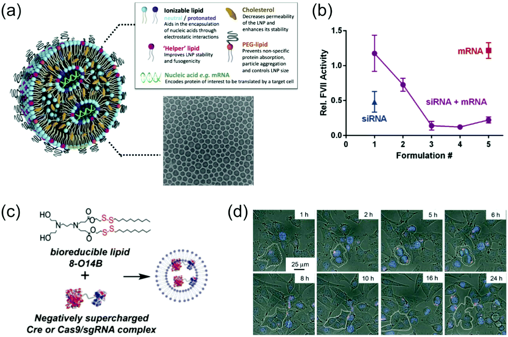 Nanostructured particles assembled from natural building blocks for  advanced therapies - Chemical Society Reviews (RSC Publishing)  DOI:10.1039/D1CS00343G