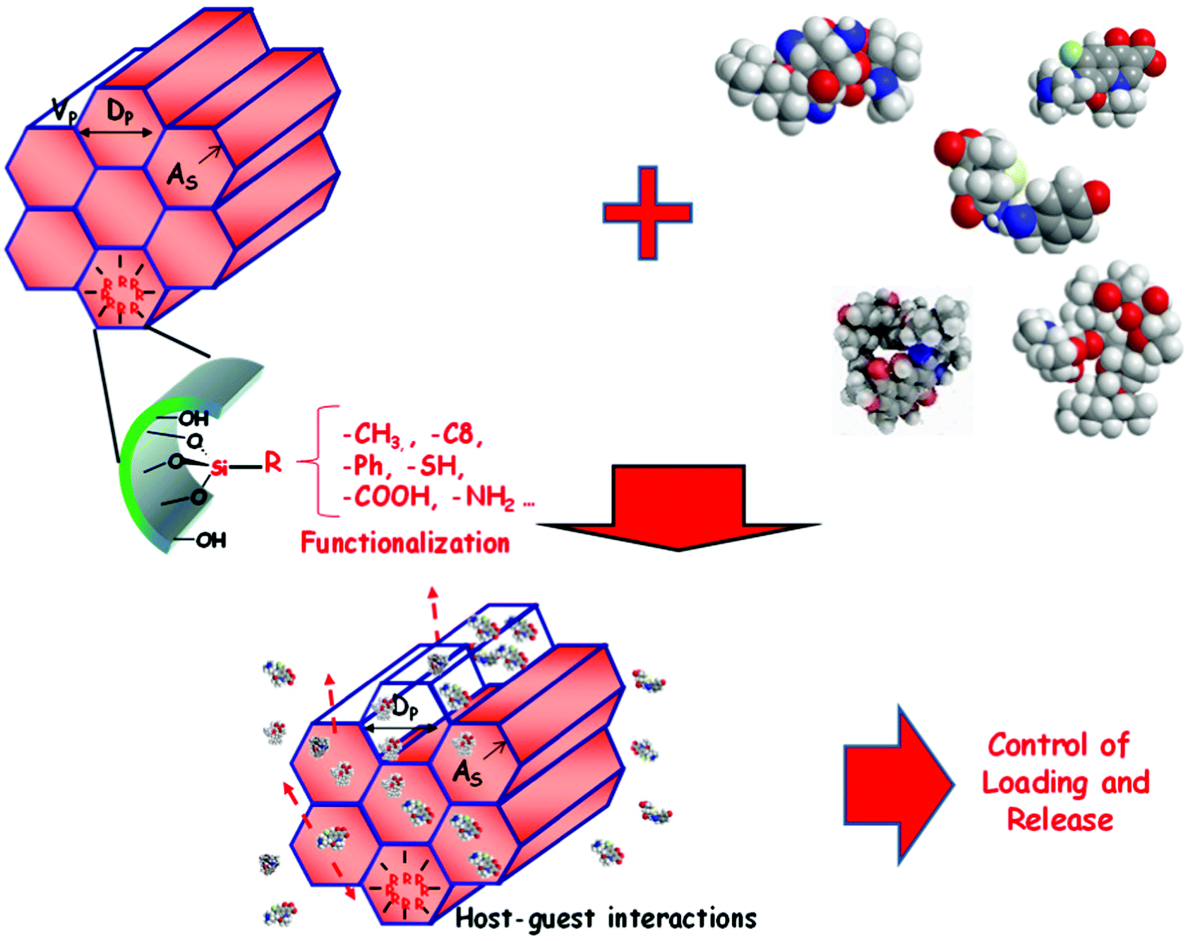 Selective Interstitial Hydration Explains Anomalous Structural