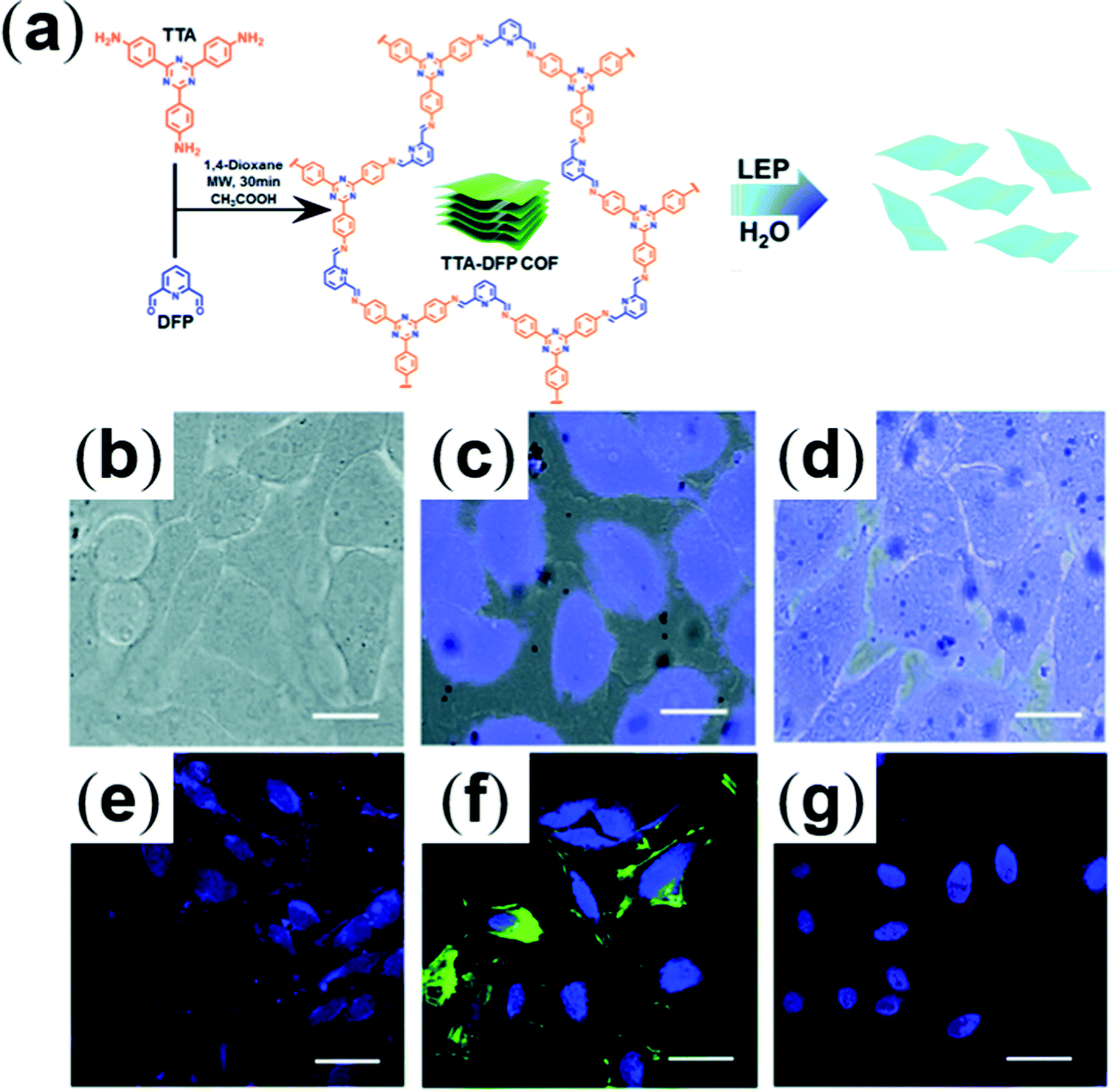 Emerging porous organic polymers for biomedical applications 