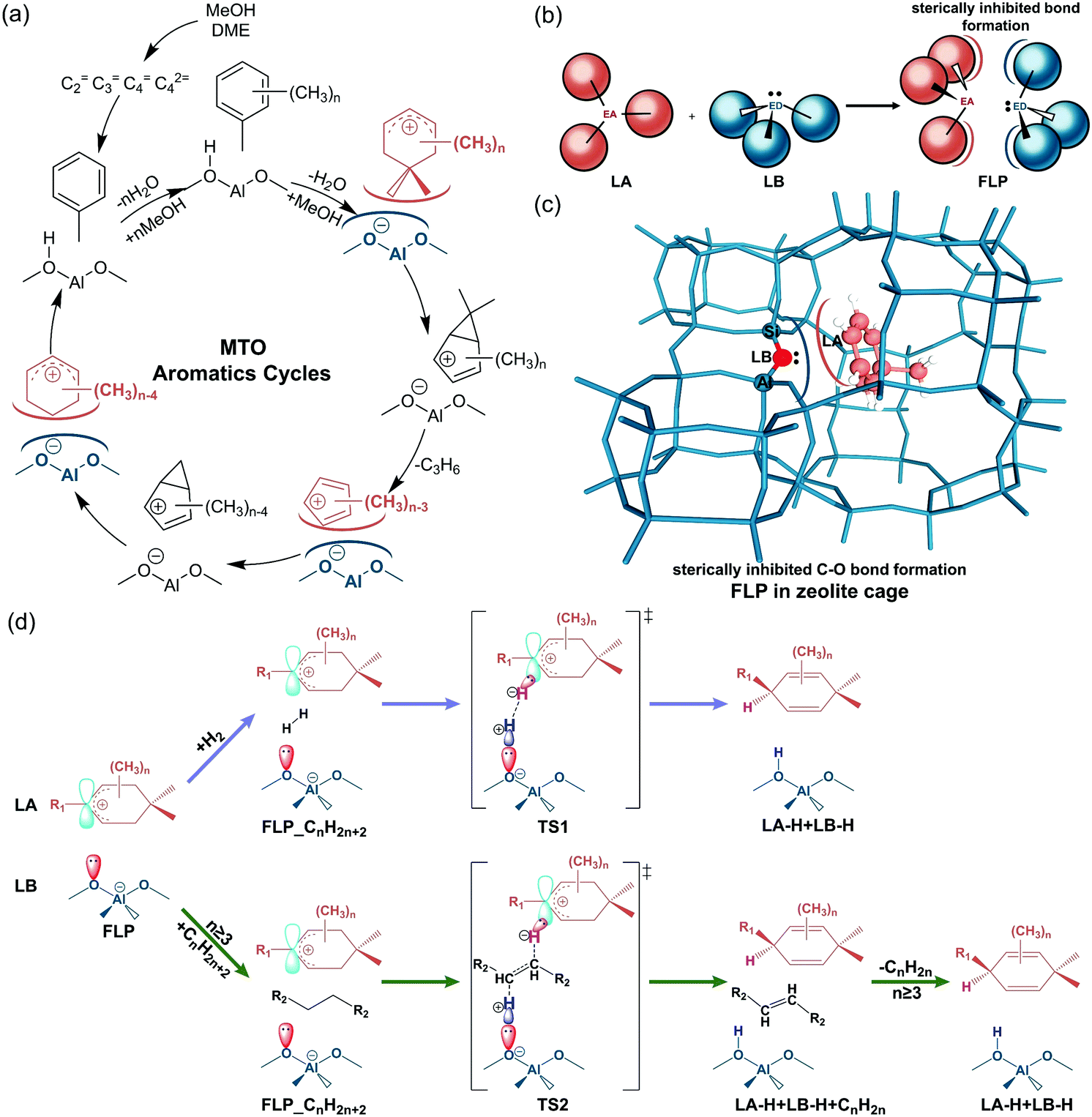 Carbocation chemistry confined in zeolites: spectroscopic and 