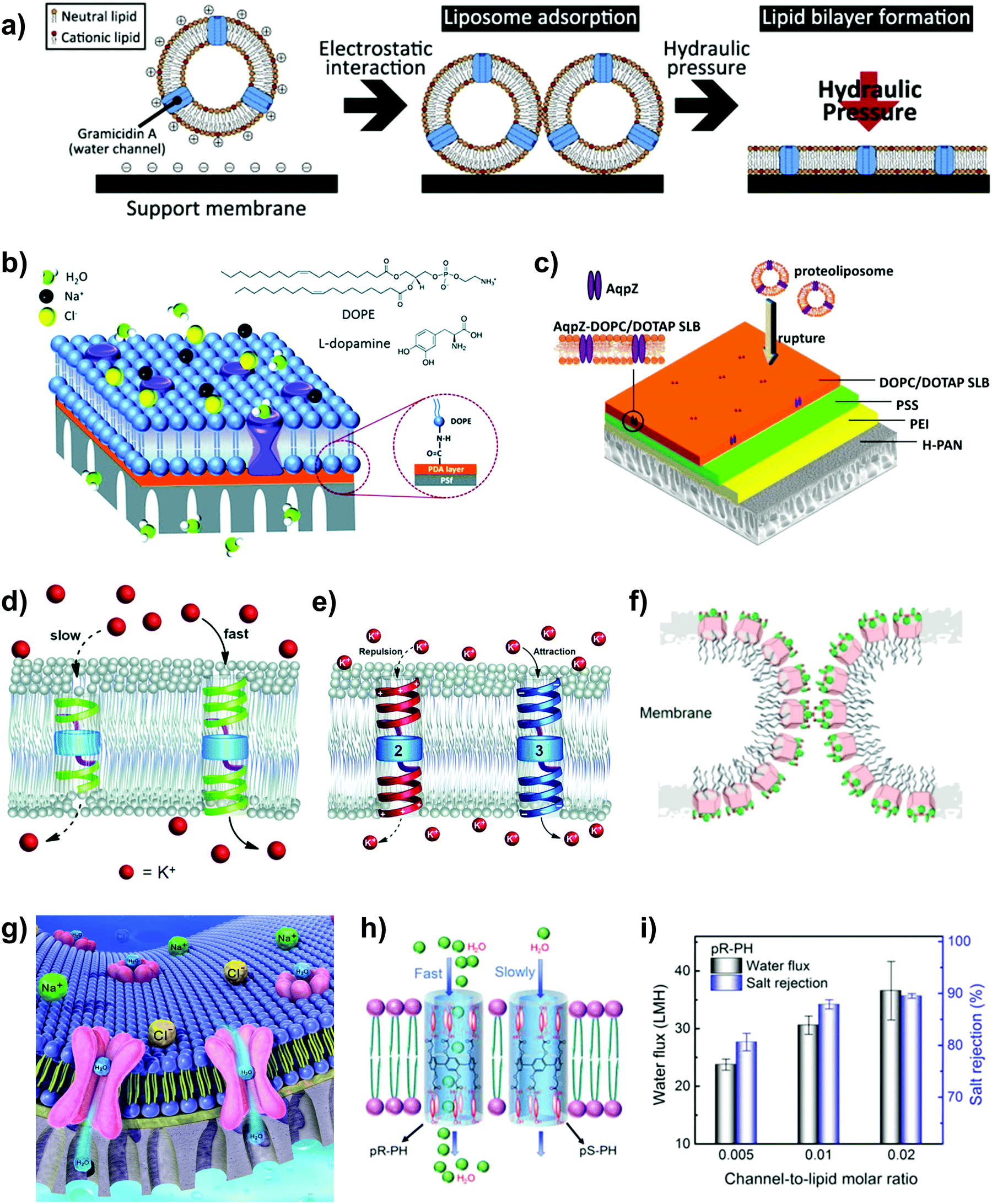 AFM images of the fabricated membranes: a PC, b PC-CS/GO-0.5, c