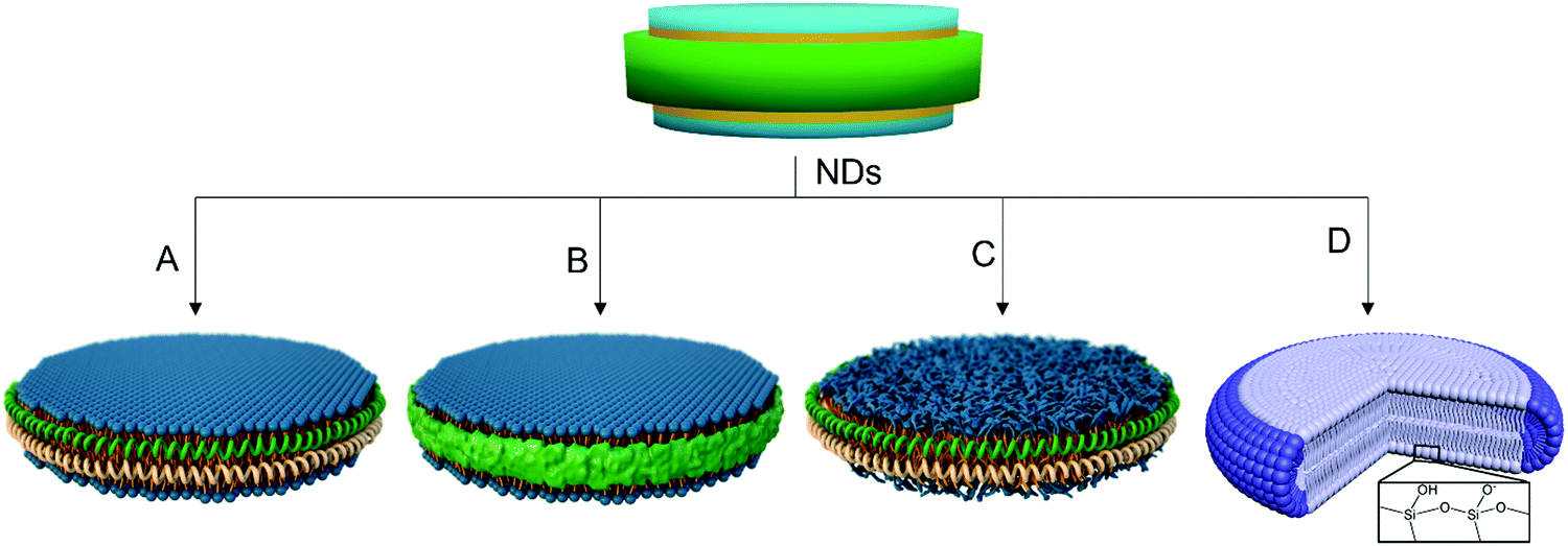 Nanodiscs: a versatile nanocarrier platform for cancer diagnosis