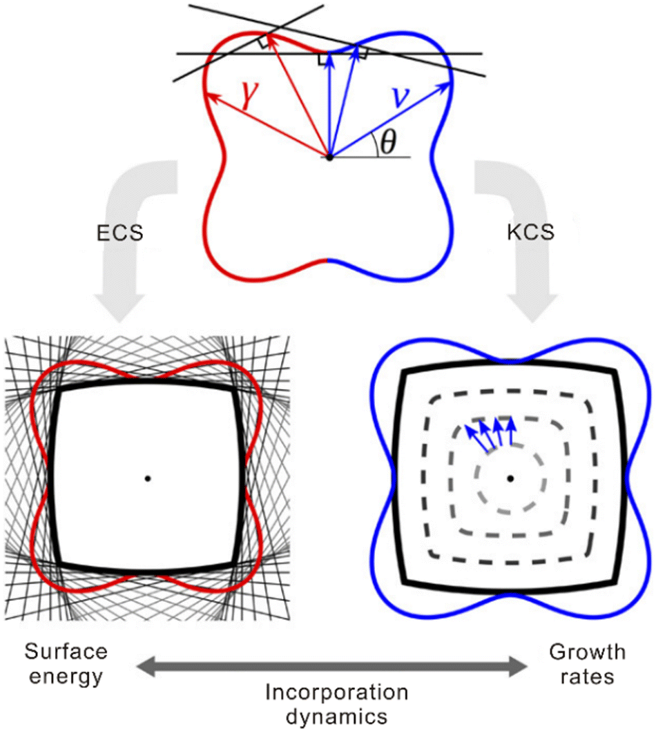 Facet engineering of ultrathin two-dimensional materials Facet engineering of ultrathin two-dimensional materials