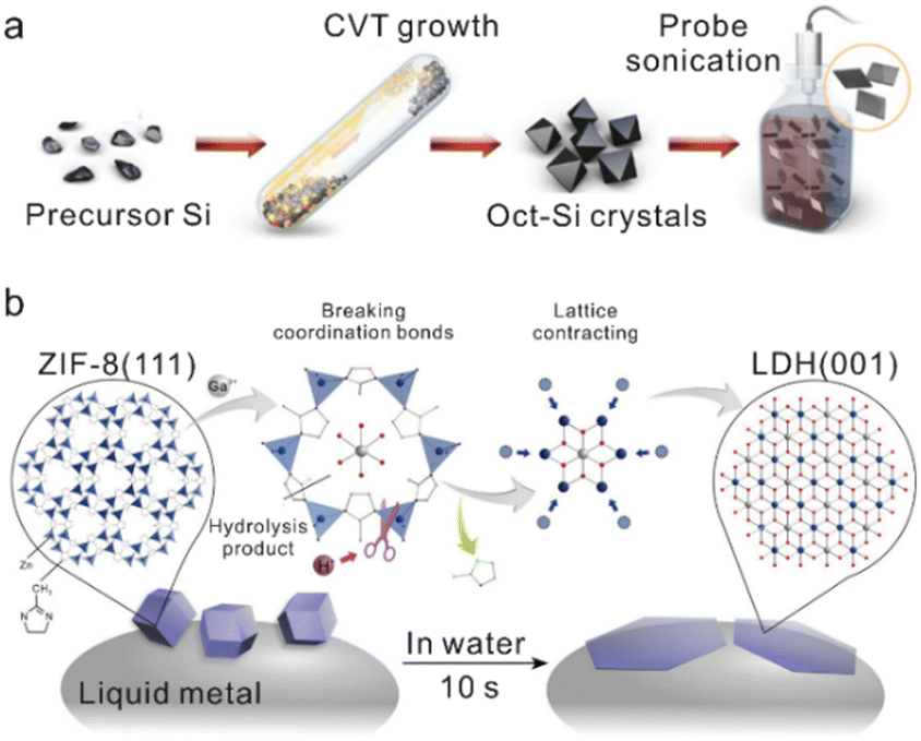 Si様G0 Twinned growth behaviour of two-dimensional materials