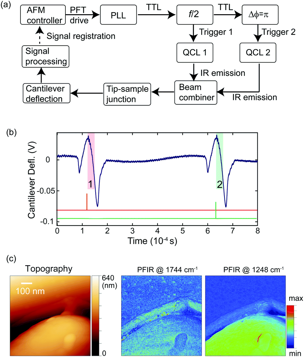 Principle and applications of peak force infrared microscopy - Chemical  Society Reviews (RSC Publishing) DOI:10.1039/D2CS00096B