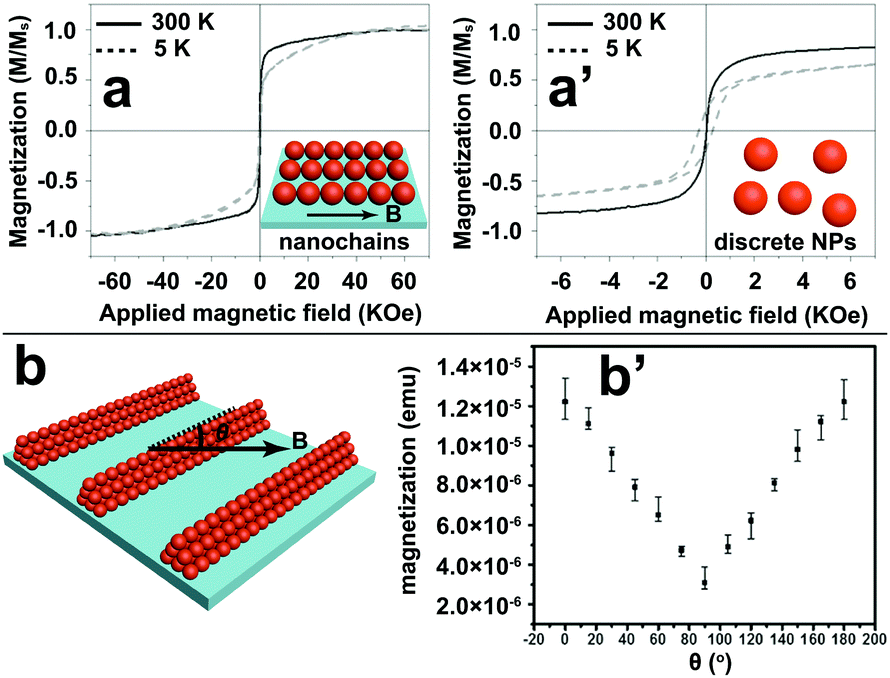 1D Colloidal chains: recent progress from formation to emergent properties  and applications - Chemical Society Reviews (RSC Publishing)  DOI:10.1039/D2CS00112H