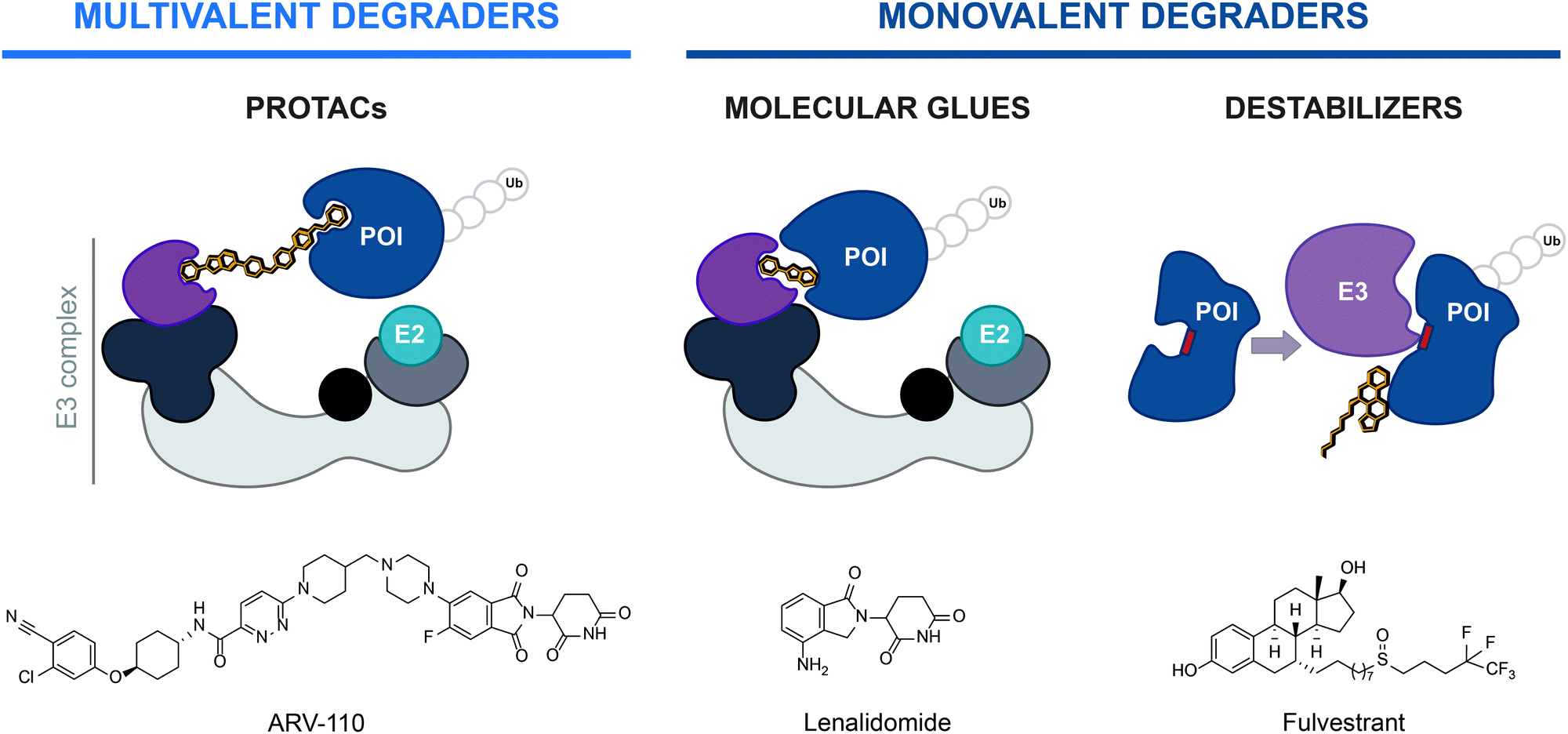 Chasing molecular glue degraders: screening approaches - Chemical Society  Reviews (RSC Publishing) DOI:10.1039/D2CS00197G