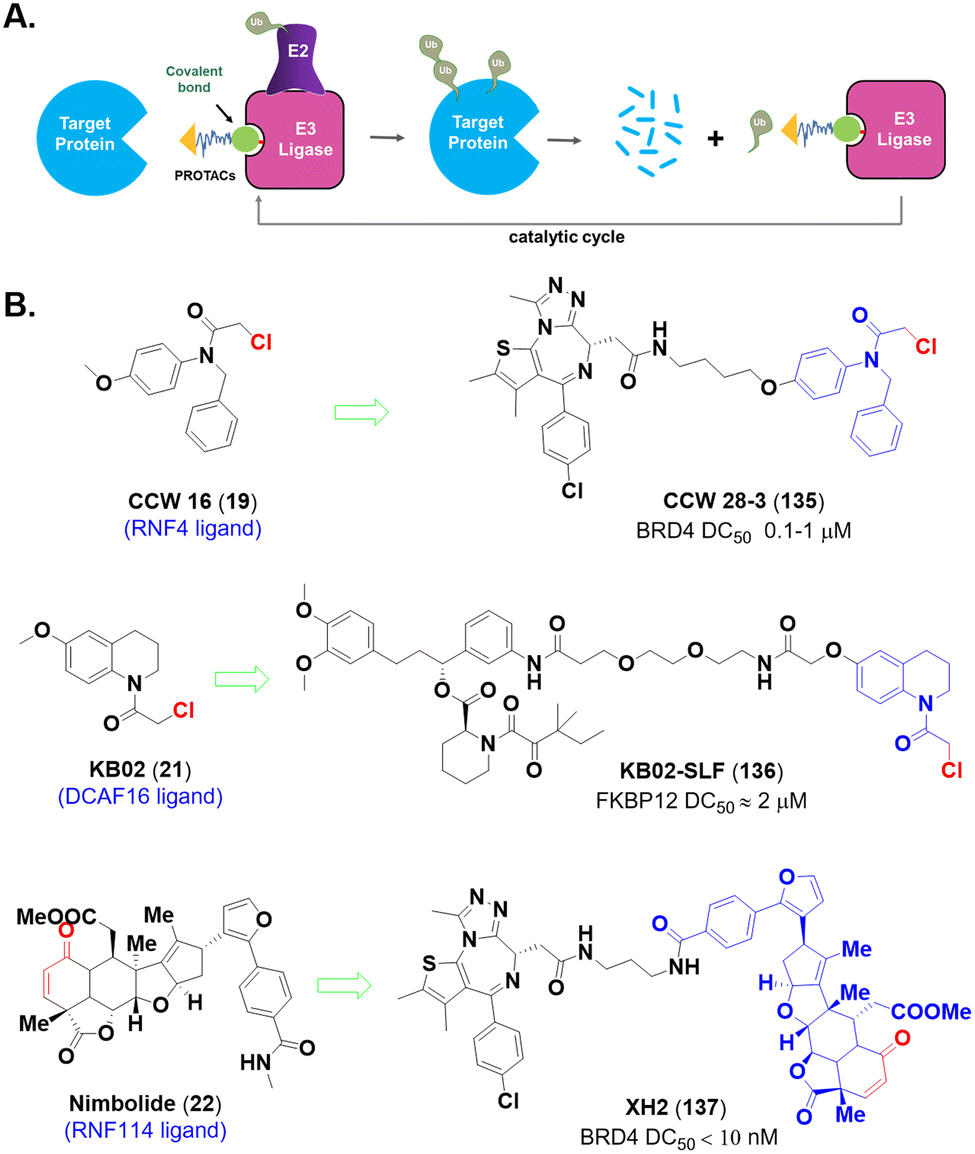 Chemistries of bifunctional PROTAC degraders - Chemical Society