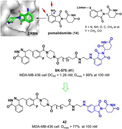 Chemistries of bifunctional PROTAC degraders - Chemical Society