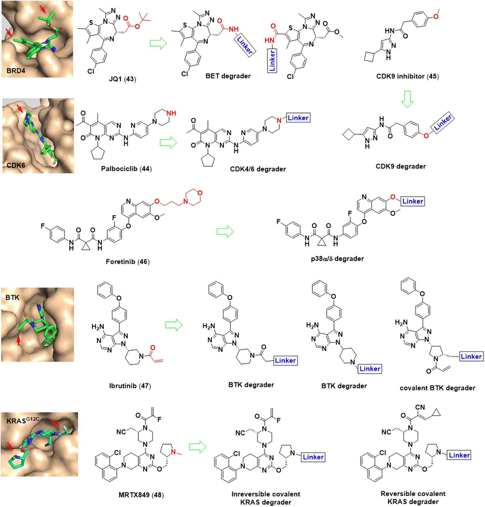 Chemistries of bifunctional PROTAC degraders - Chemical Society 