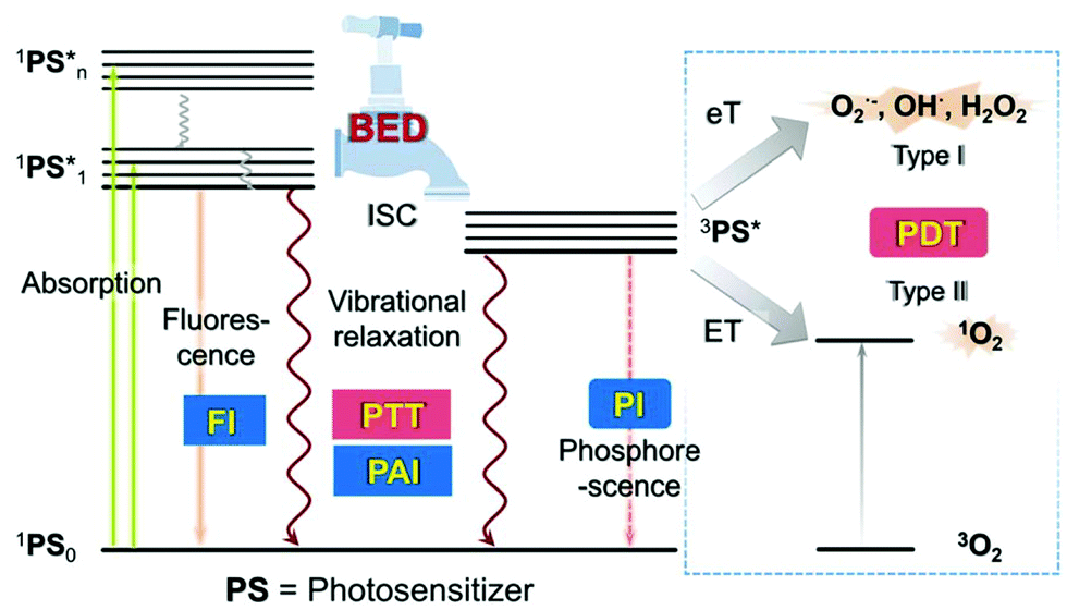 Lanthanide porphyrinoids as molecular theranostics - Chemical Society  Reviews (RSC Publishing) DOI:10.1039/D2CS00275B