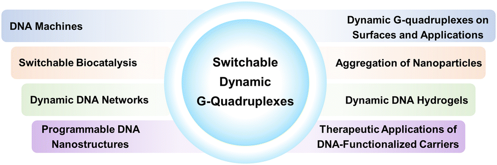 Switchable and dynamic G-quadruplexes and their applications