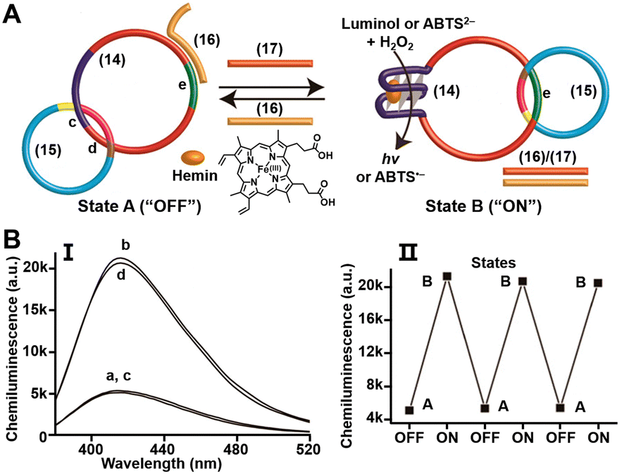 Switchable and dynamic G-quadruplexes and their applications 