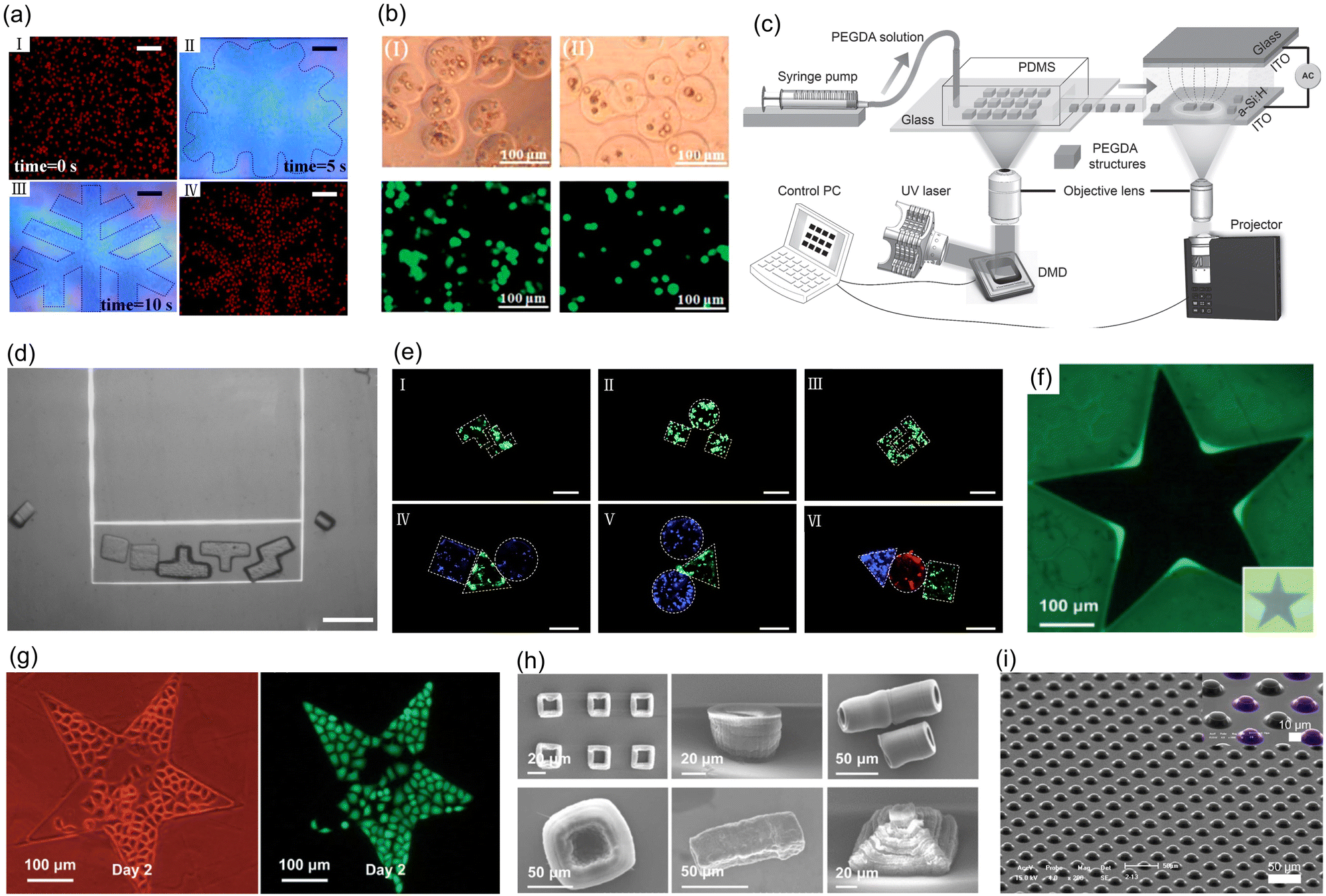 Optoelectronic tweezers a versatile toolbox for nano/micro
