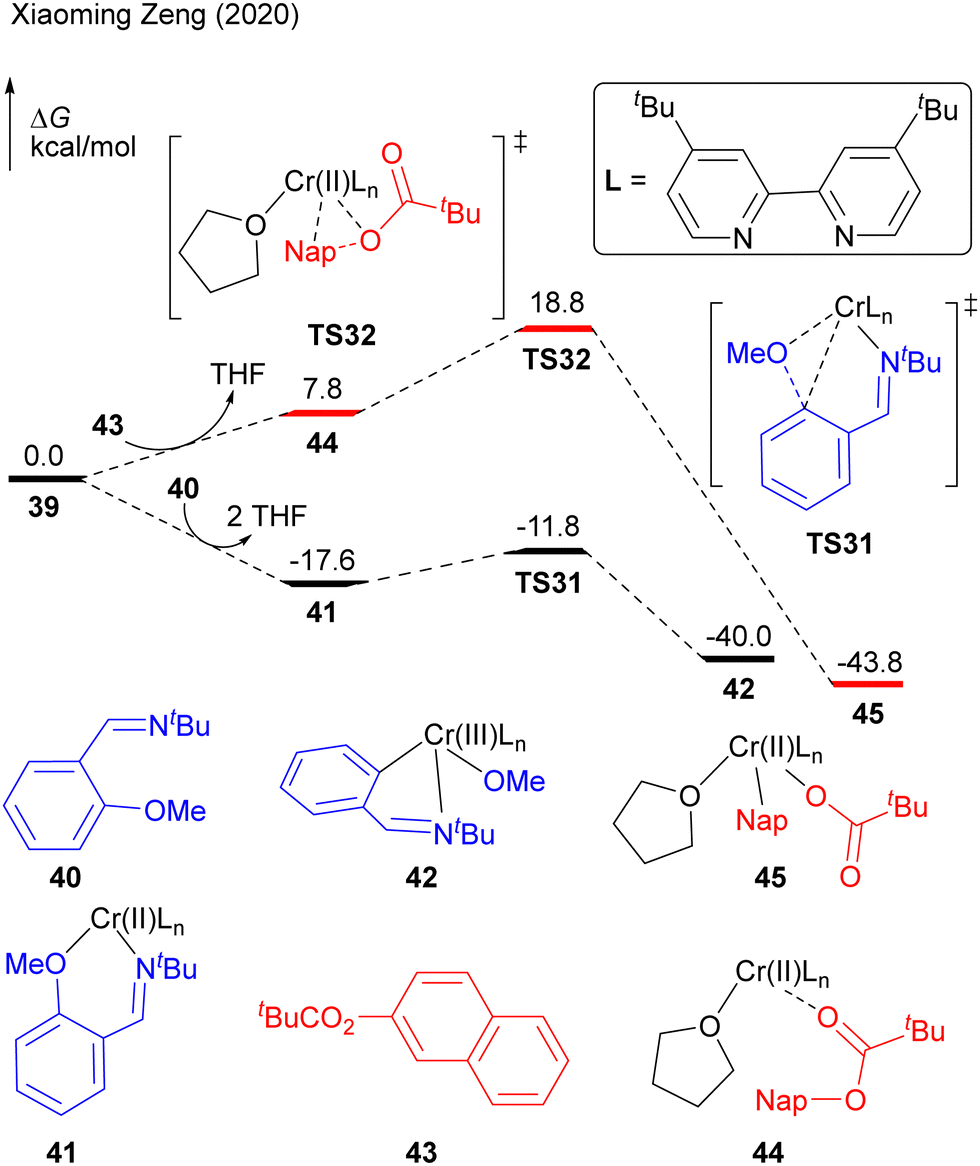 Mechanistic views and computational studies on transition
