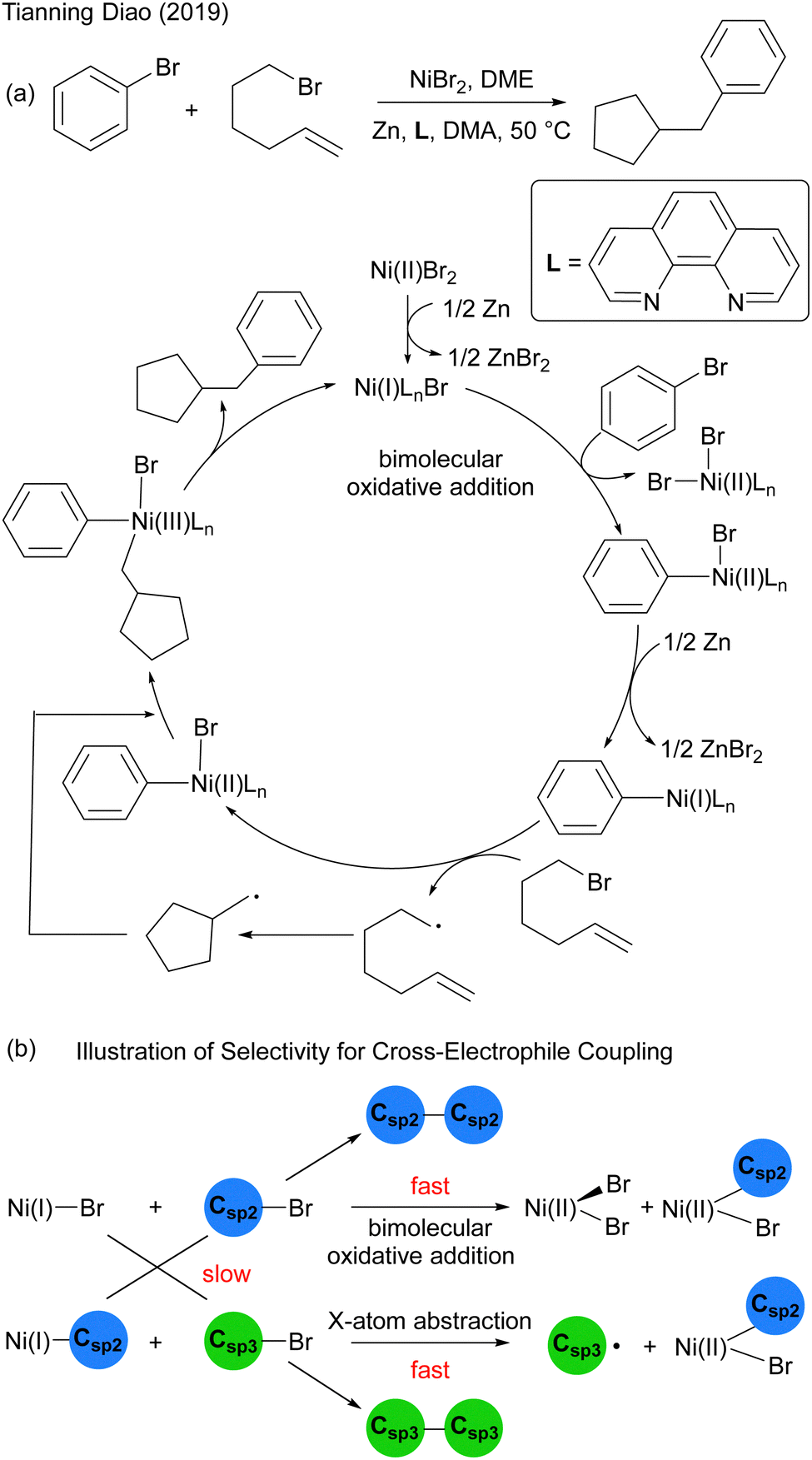 Mechanistic views and computational studies on transition Mechanistic views and computational studies on transition