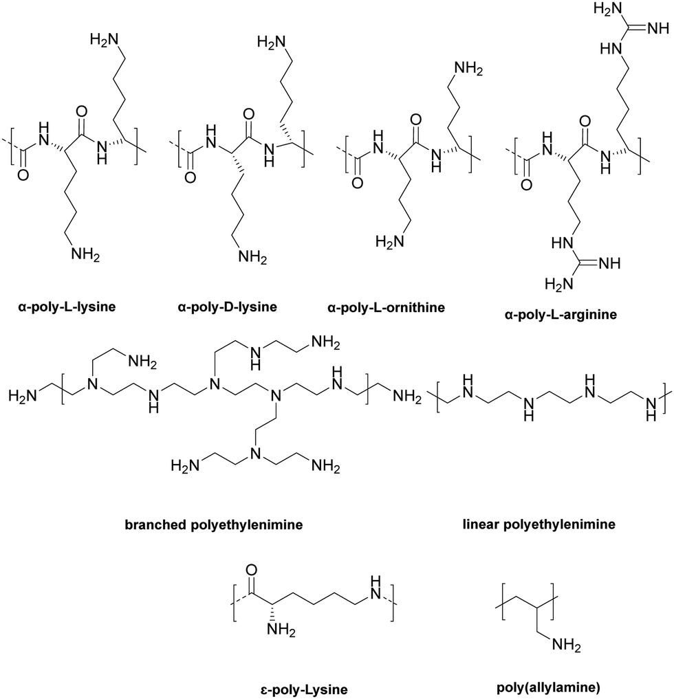 Polymers showing intrinsic antimicrobial activity - Chemical Society  Reviews (RSC Publishing)