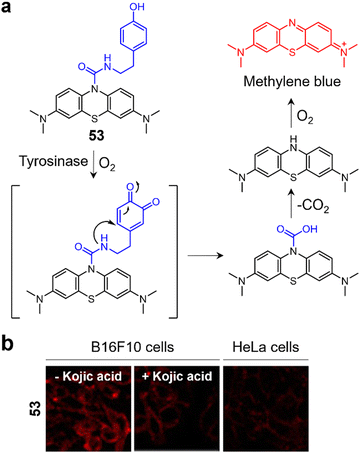 Near-infrared (NIR) fluorescence-emitting small organic molecules