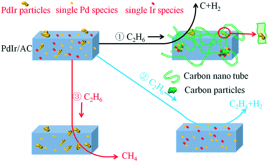 Synergetic effect between Pd 2 and Ir 4 species promoting direct