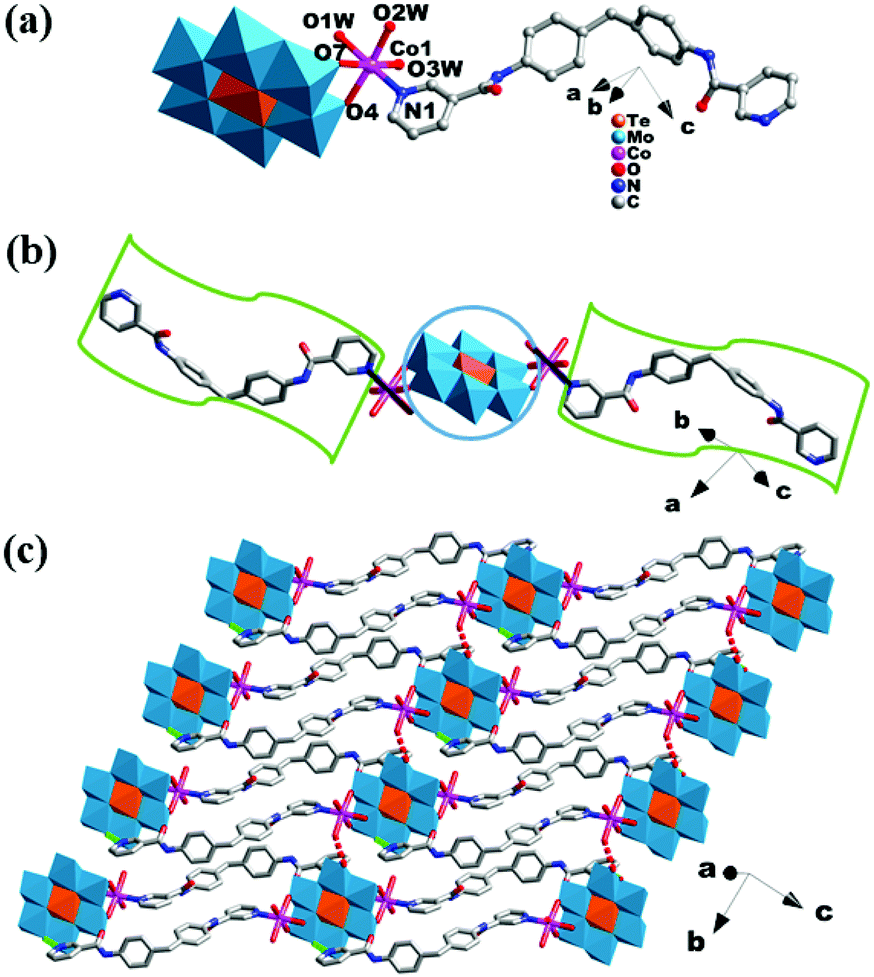 Cobalt complexes tuned by Anderson-type polyoxometalates and bis 