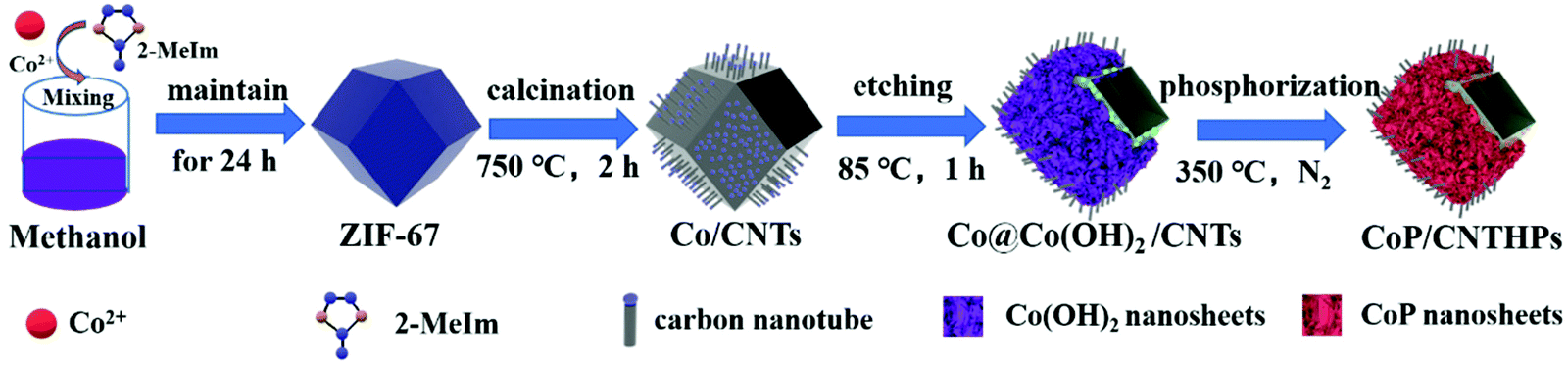 ZIF-67-derived nanoframes as efficient bifunctional catalysts for 