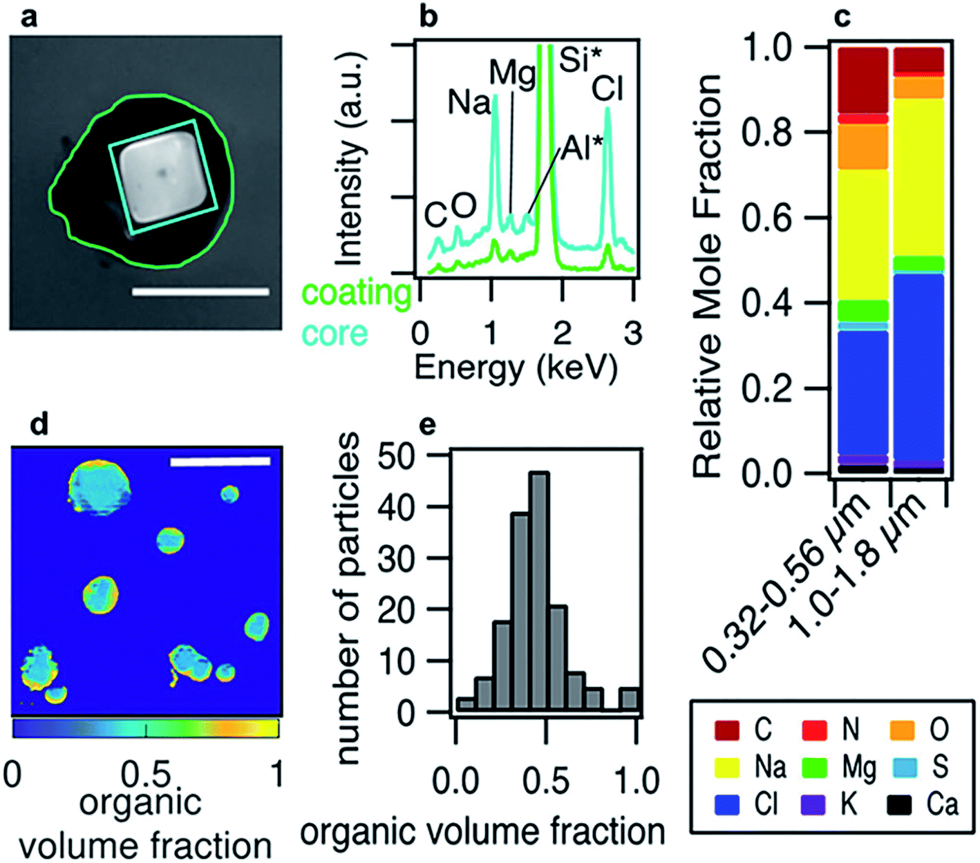 Exploring the Nanostructures Accessible to an Organic Surfactant  Atmospheric Aerosol Proxy