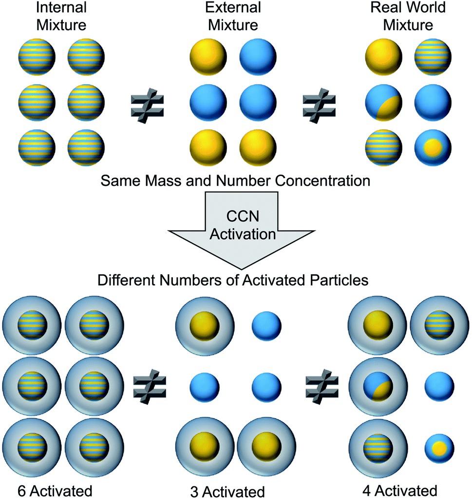 Exploring the Nanostructures Accessible to an Organic Surfactant  Atmospheric Aerosol Proxy