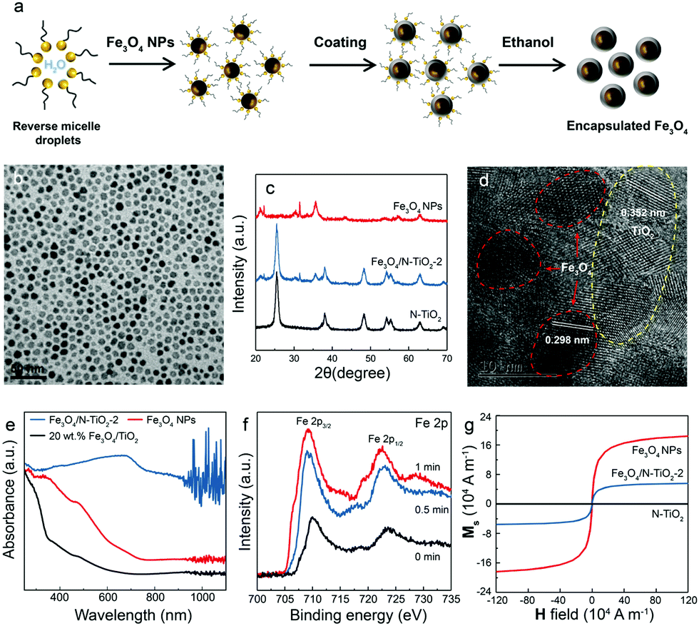 Local magnetic spin mismatch promoting photocatalytic overall water  splitting with exceptional solar-to-hydrogen efficiency - Energy &  Environmental Science (RSC Publishing) DOI:10.1039/D1EE02222A