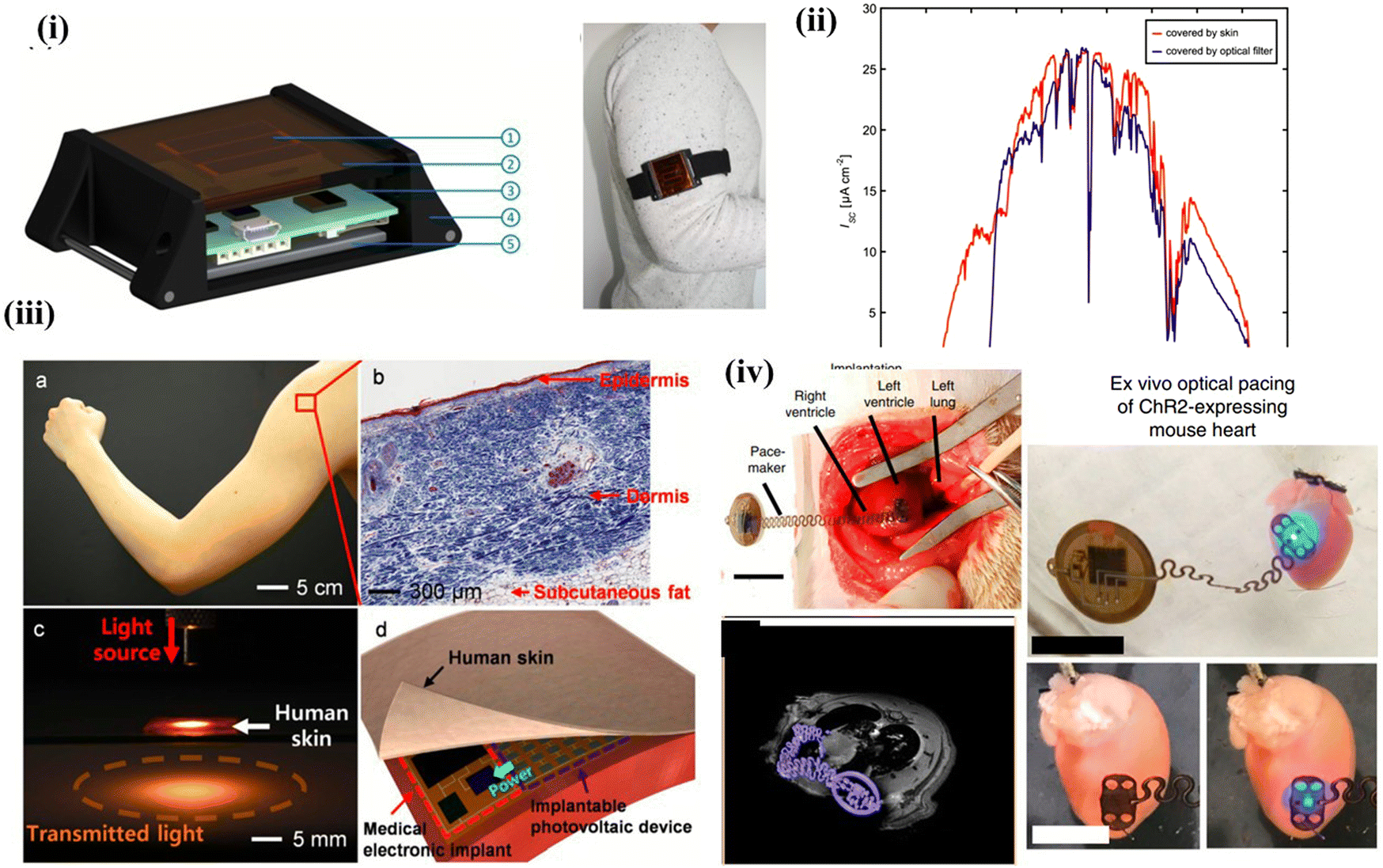 https://pubs.rsc.org/image/article/2022/EE/d2ee02695c/d2ee02695c-f16_hi-res.gif