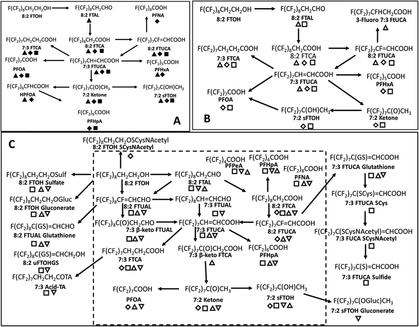 Development of a PFAS reaction library: identifying plausible