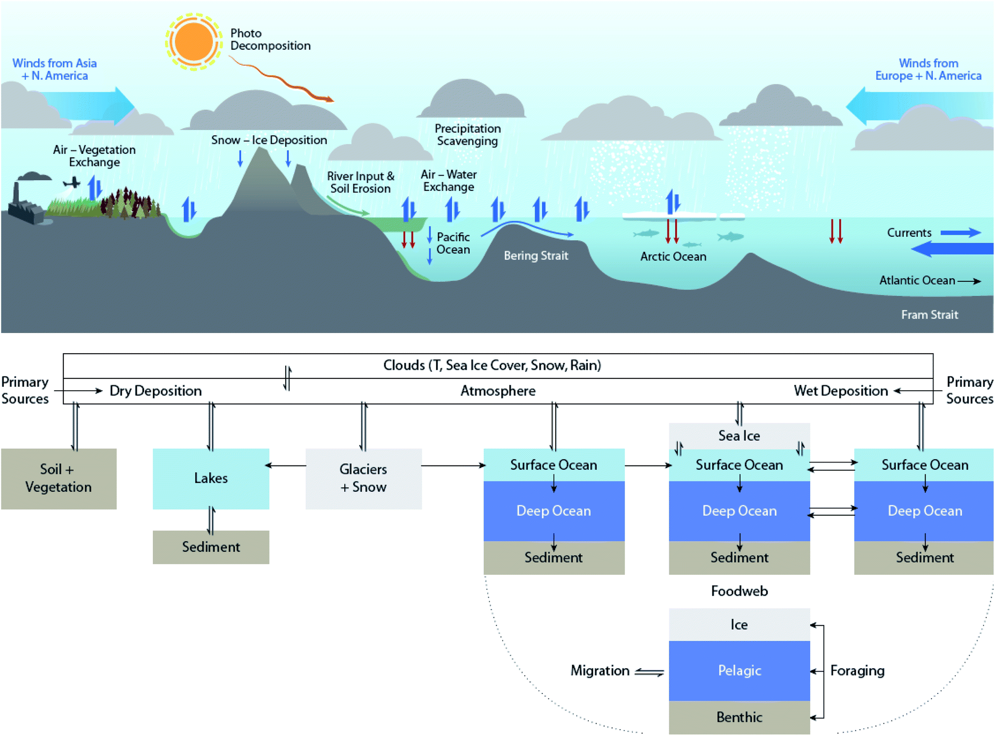 Arctic ice algae heavily contaminated with microplastics, reports new  research