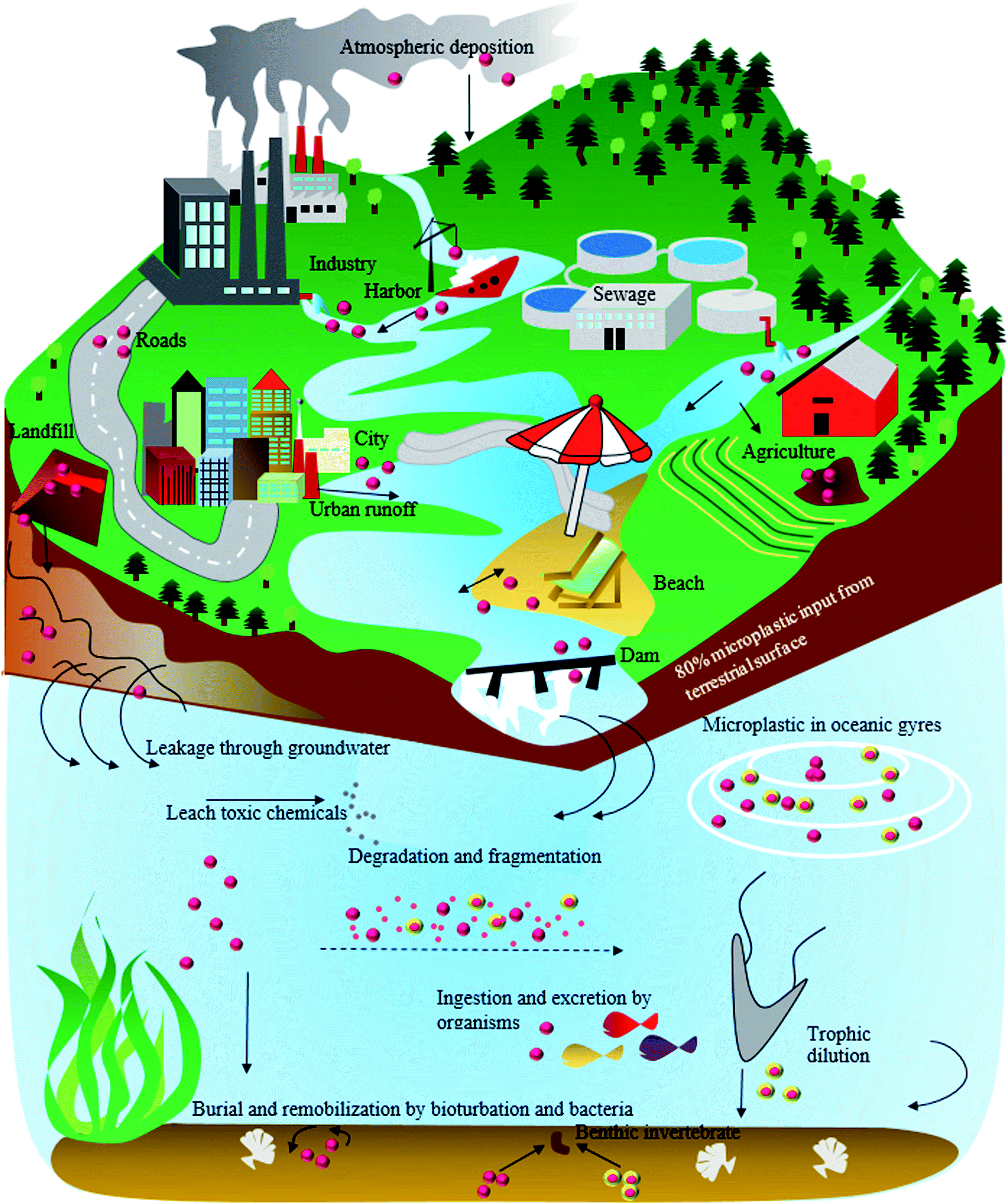 Microplastics and other harmful substances released from