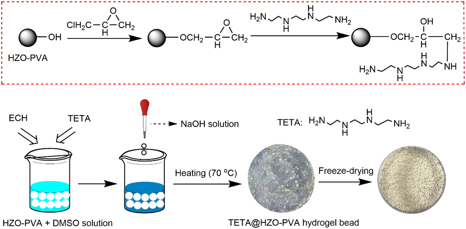 Surface functionalized poly(vinyl alcohol)–hydrous zirconium oxide  composite beads for efficient and selective sequestration of phosphate from  wastewa ... - Environmental Science: Water Research & Technology (RSC  Publishing) DOI:10.1039/D2EW00412G