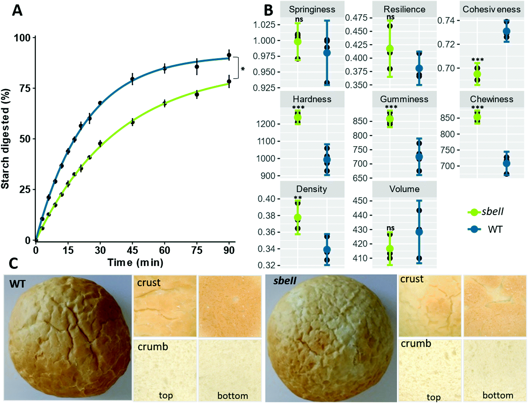 Effect of high-amylose starch branching enzyme II wheat mutants on