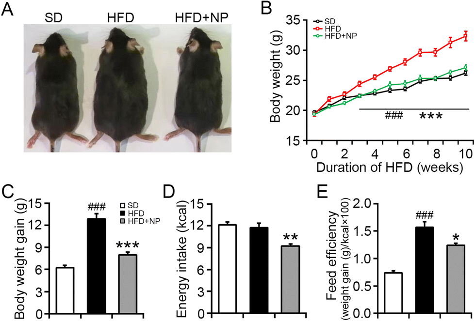 https://pubs.rsc.org/image/article/2022/FO/d2fo00337f/d2fo00337f-f1_hi-res.gif