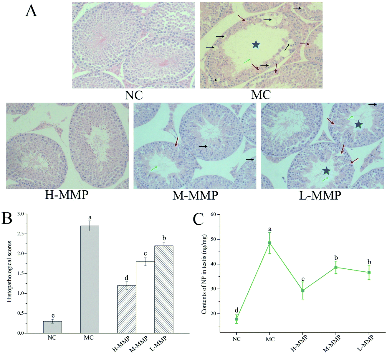 mmp様 11658_2025_744_Fig6_HTML.png