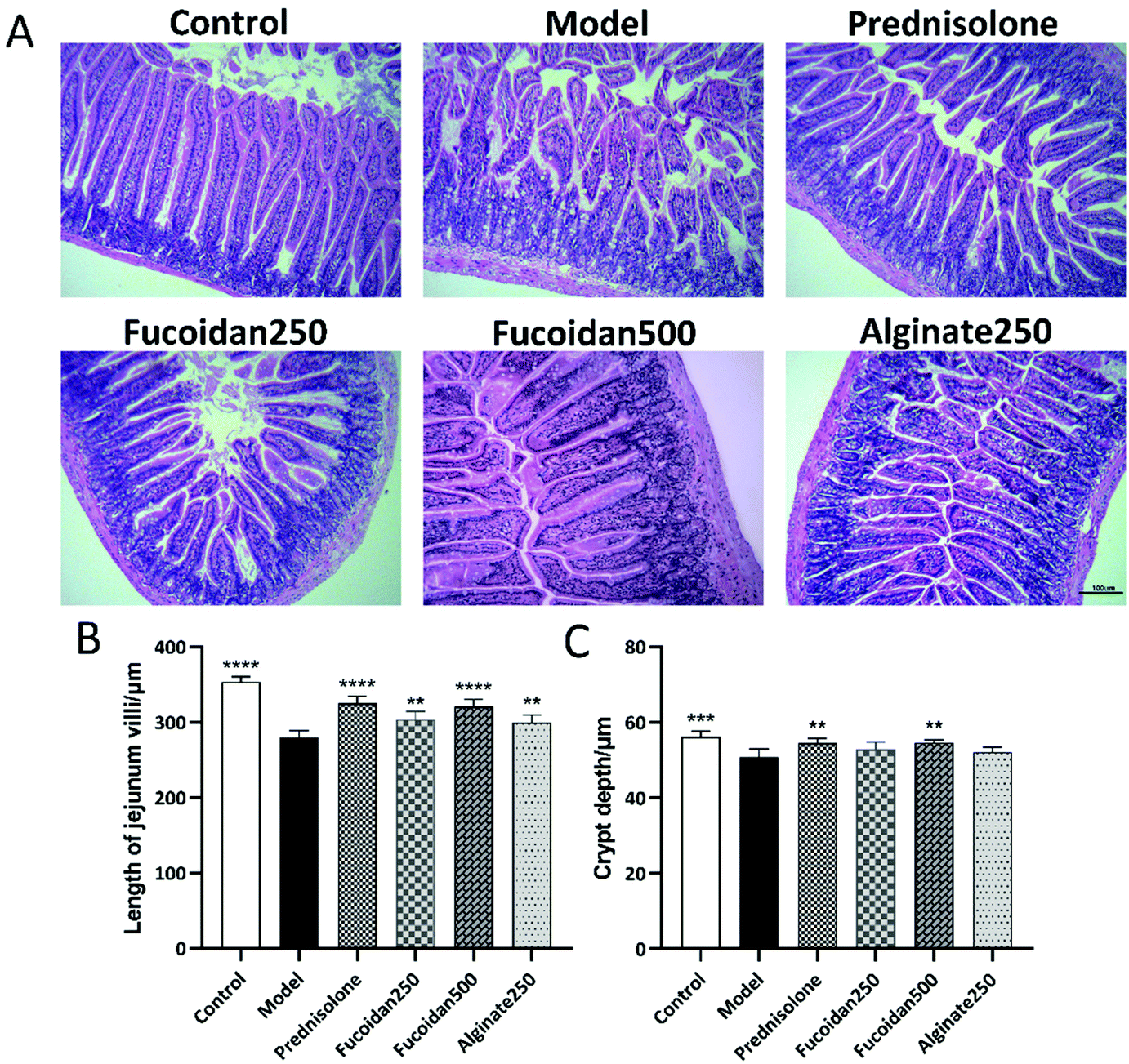 Effects of fucoidans and alginates from Sargassum