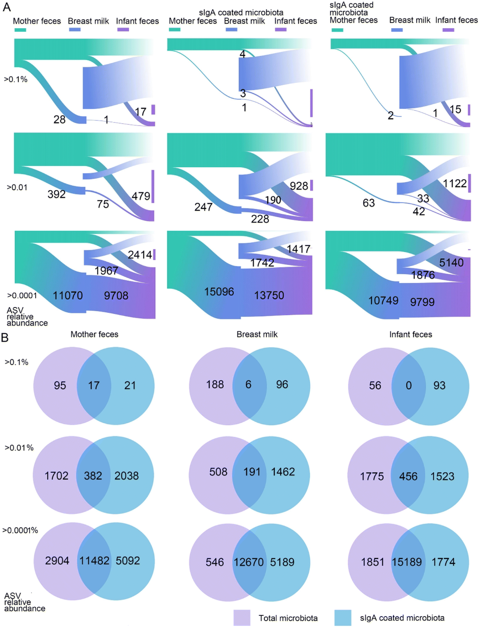 Widespread vertical transmission of secretory immunoglobulin A