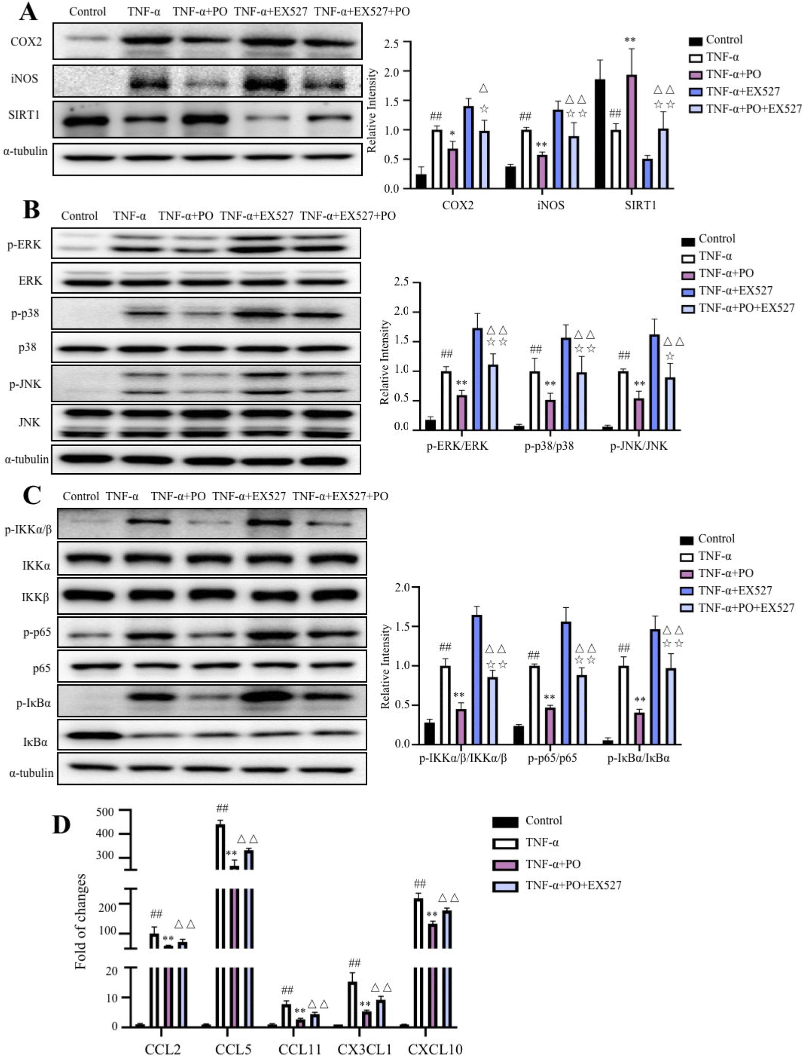 Pogostone attenuates adipose tissue inflammation by