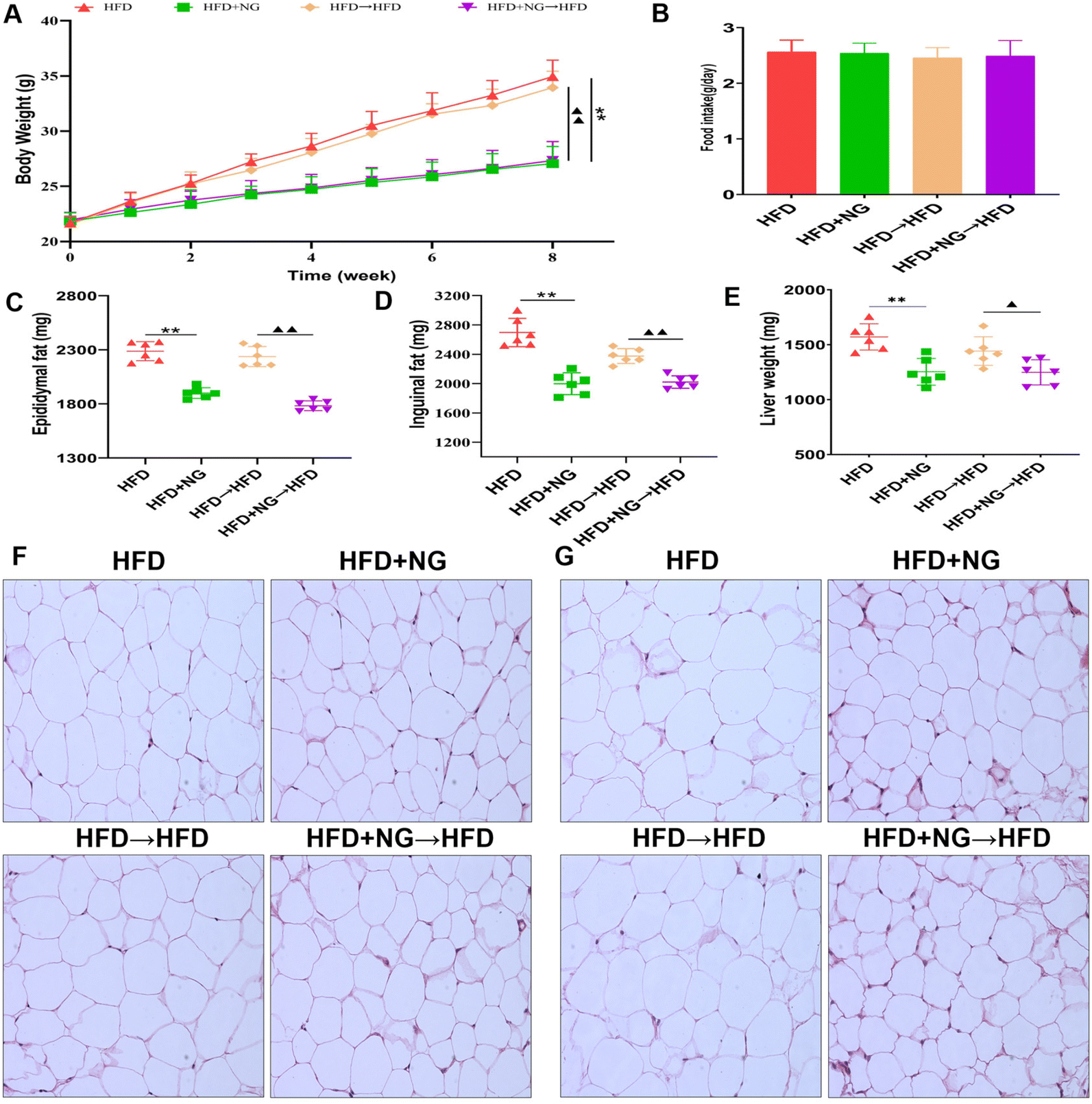 Naringenin activates beige adipocyte browning in high fat diet-fed