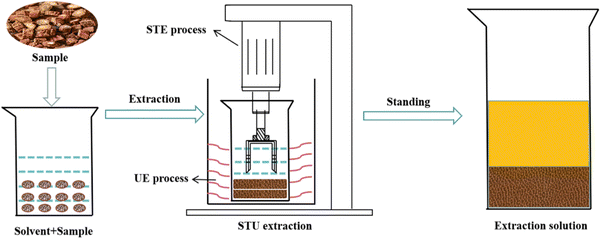Optimization of smashing tissue and ultrasonic extraction of