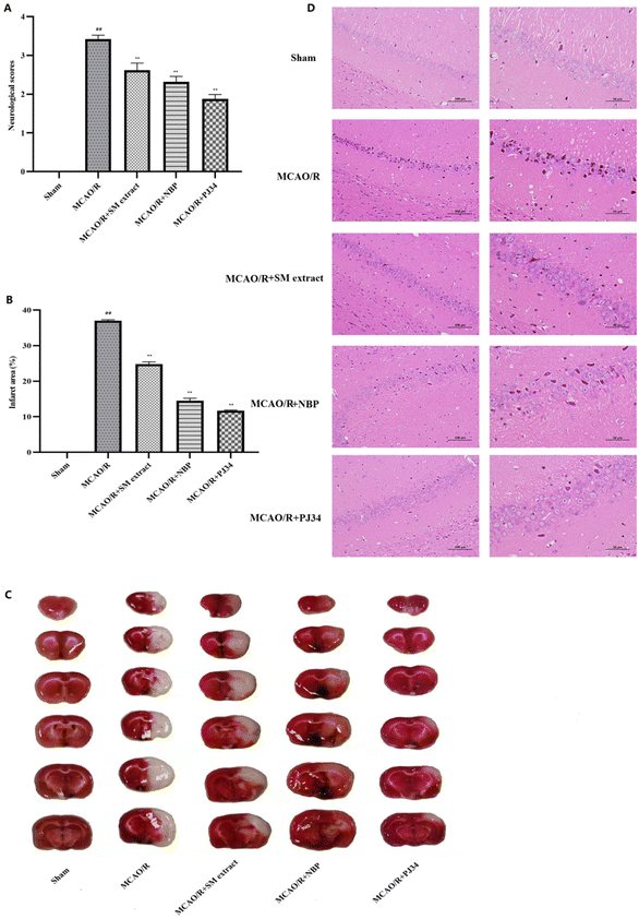 【ten】 Advances on Hormones in Cosmetics: Illegal Addition Status