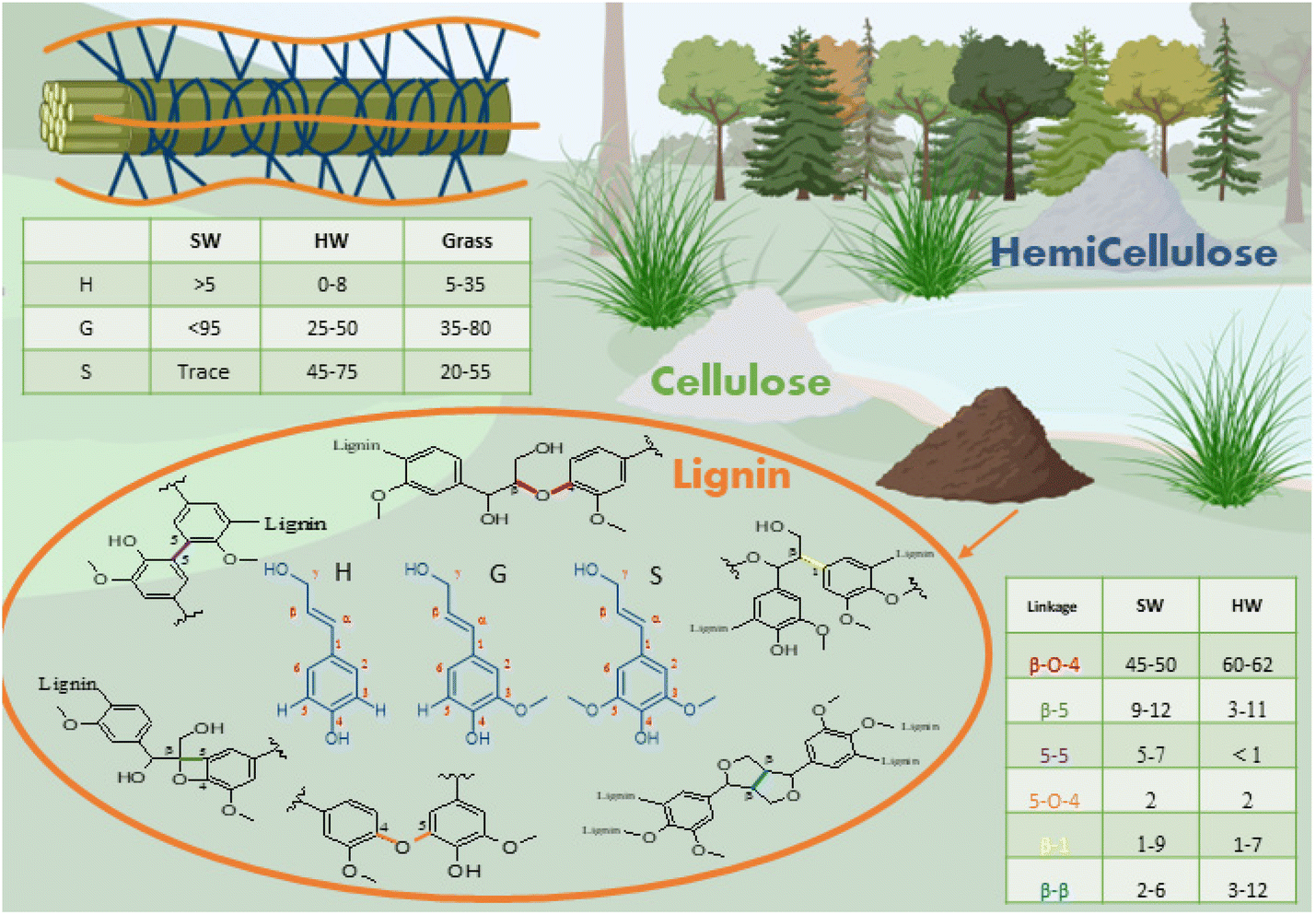 Organosolv Pretreatment of Cocoa Pod Husks: Isolation, Analysis, and Use of  Lignin from an Abundant Waste Product