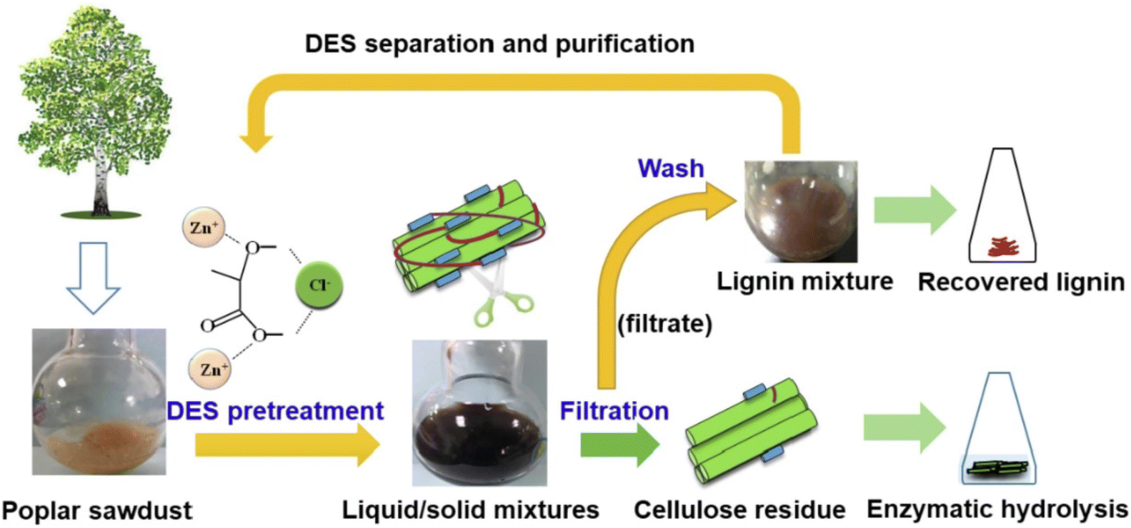 Introducing lignin as a binder material for the aqueous production