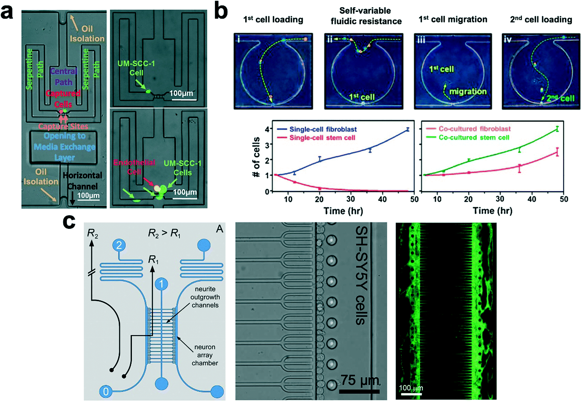 Recent advances in microfluidic devices for single-cell