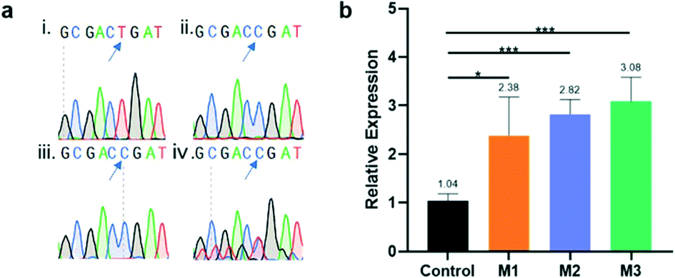 CCTop - CRISPR/Cas9 target online predictor