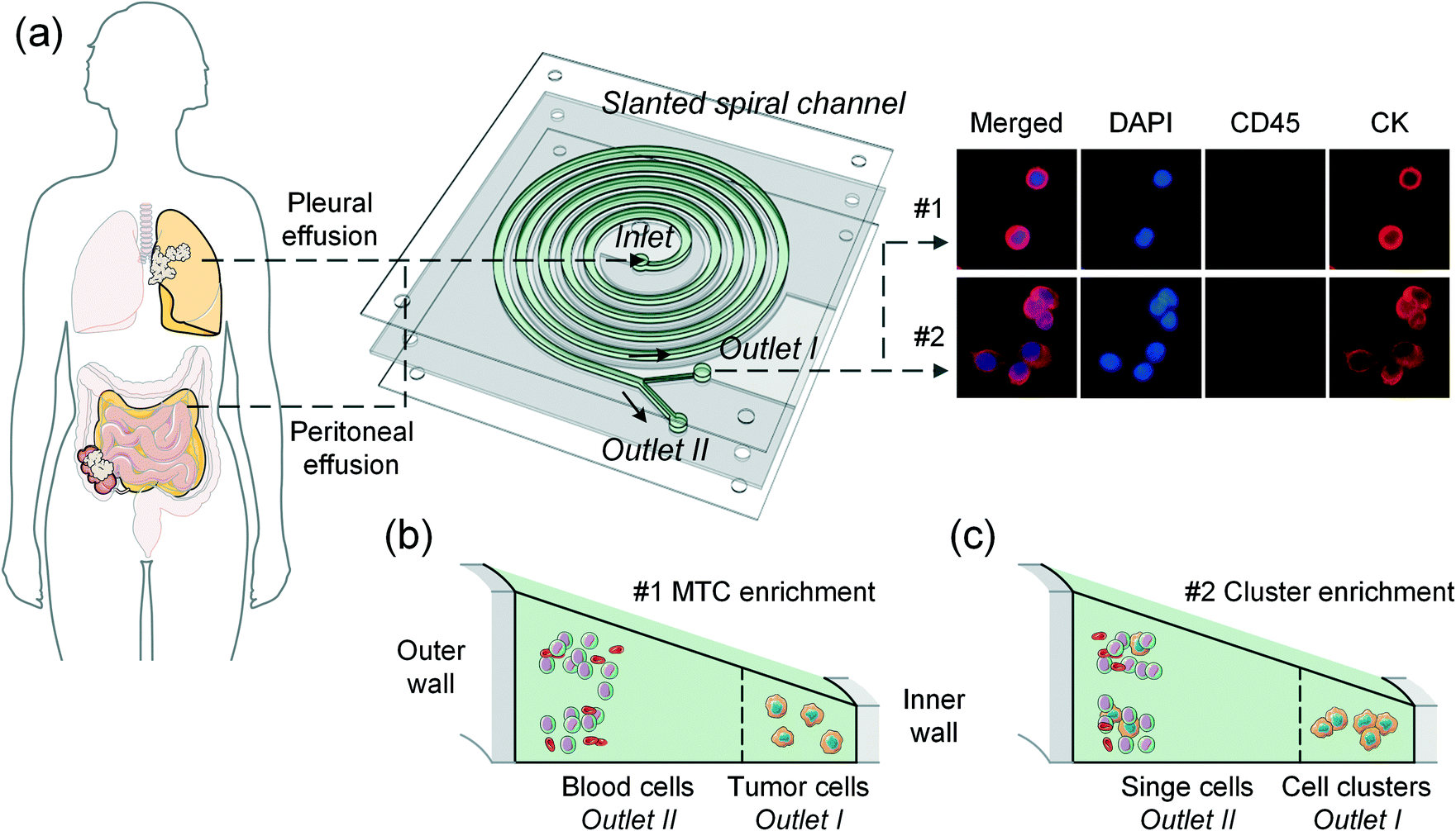 https://pubs.rsc.org/image/article/2022/LC/d2lc00082b/d2lc00082b-f1_hi-res.gif